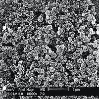 电子显微下铝箔上的沸石涂层照片。沸石颗粒在纳米范围内清晰可见。